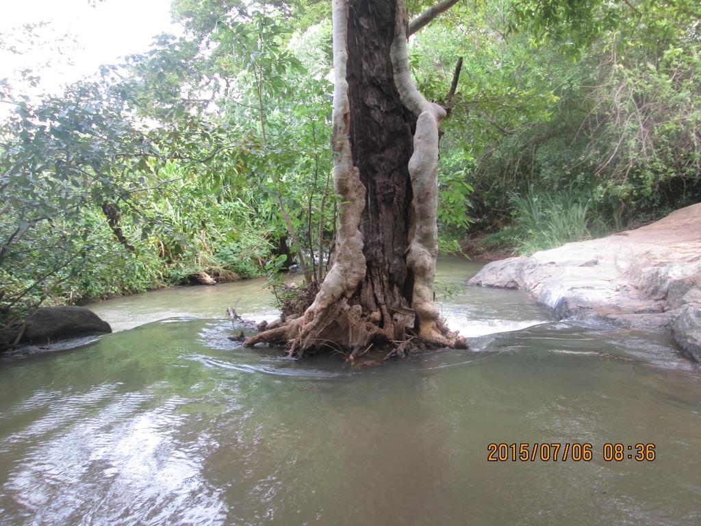 Sigiriya River Side Resort エクステリア 写真