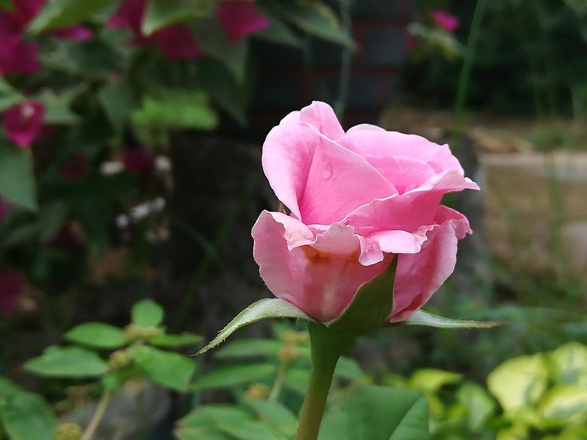 Sigiriya River Side Resort エクステリア 写真