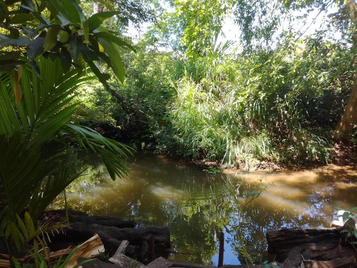 Sigiriya River Side Resort エクステリア 写真